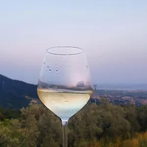 Vinomare Bed & Breakfast